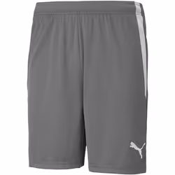 Short Puma Team Liga