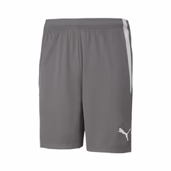 Short Puma Team Liga - gris/blanc - L
