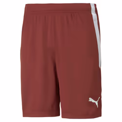 Short Puma Team Liga