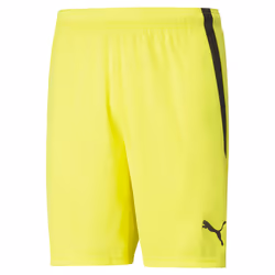 Short Puma teamLIGA
