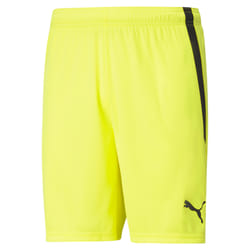 Short Puma teamLIGA