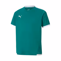 Maillot enfant Puma Team Liga