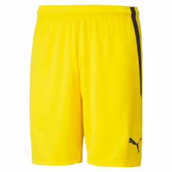 Short Puma Team Liga