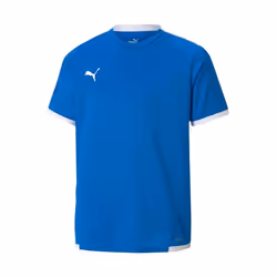 Maillot enfant Puma Team Liga