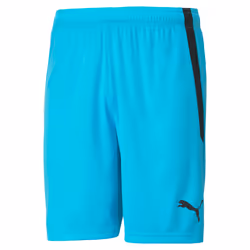 Short Puma Team Liga