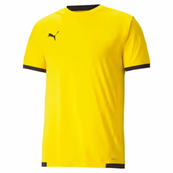 Maillot Puma Team Liga
