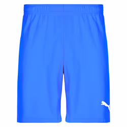 Short Puma teamRISE