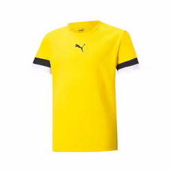 Maillot enfant Puma Team Liga