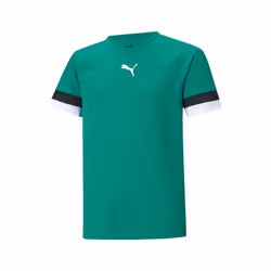 Maillot enfant Puma Team Liga