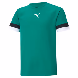 Maillot enfant Puma Team Liga