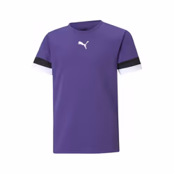 Maillot enfant Puma Team Liga