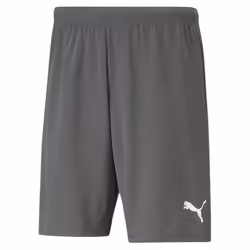 Short Puma Team Rise
