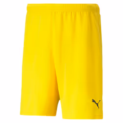 Short Puma Team Rise