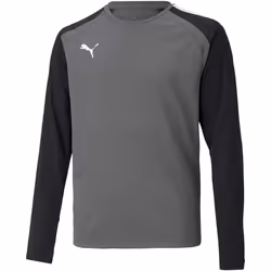 Maillot gardien manches longues enfant Puma Team Pacer