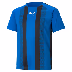 Maillot enfant Puma Team Liga Striped