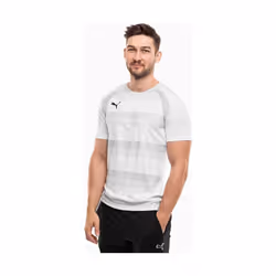 Maillot Puma Team Vision