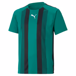 Maillot enfant Puma Team Liga Striped