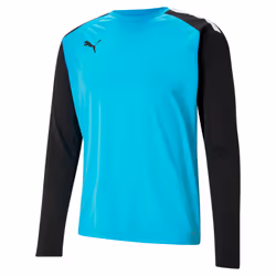 Maillot manches longues Puma Team Pacer GK