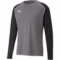 Maillot manches longues gardien Puma Team Pacer