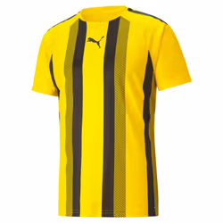 Maillot Puma Team Liga Striped