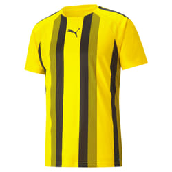 Maillot Puma Team Liga Striped