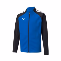 Veste enfant Puma Team Liga Training