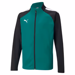 Veste enfant Puma Team Liga Training