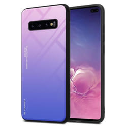 Coque pour Samsung Galaxy S10 PLUS Housse en ROSE - BLEU Etui Case Cover Protection bicolore TPU