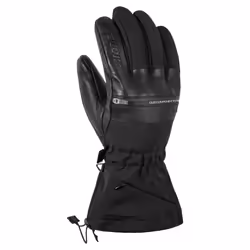 Gants de ski alpine Ziener Gallinus AS® PR DCS