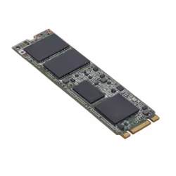 Fujitsu S26361-F5787-L240, 240 Go, M.2, 6 Gbit/s