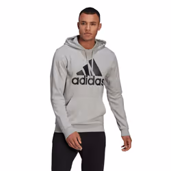 Sweat-shirt à capuche Essentials Big Logo en Gris