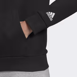Adidas Essentials Logo Sweat à capuche - Vue supplémentaire 6