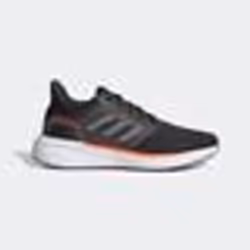 Chaussures de Running ADIDAS EQ19 Run Noir - Homme/Adulte