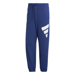 Pantalon adidas Sportswear Future Icons Logo Graphic en Bleu