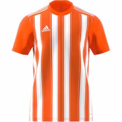 T-shirt ADIDAS Striped 21 Blanc - Homme/Adulte - Manches courtes - Multisport - Respirant