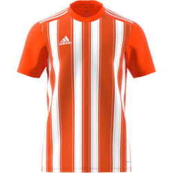 T-shirt ADIDAS Striped 21 Blanc - Homme/Adulte - Manches courtes - Multisport - Respirant