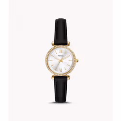 Fossil Carlie, Quartz