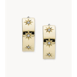 Fossil Sutton Boucles d'oreilles créoles Acier inoxydable Or