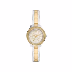 Fossil Stella, Imperméable