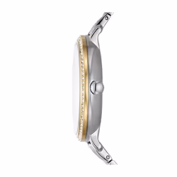 Fossil Jacqueline Montre bracelet Femelle Mécanique (enroulage manuel) Or, Argent