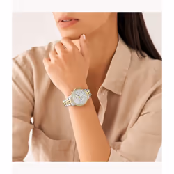 Fossil ES5216 montre Montre bracelet Femelle Argent