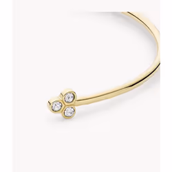 Fossil JF04113710 bracelet Bracelet à manchette Femelle Acier inoxydable