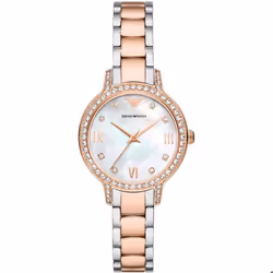 Montre Emporio Armani Cleo Pour Femmes en Multicolore - AR11499