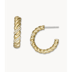 Fossil JF04170710 boucle d'oreille Clous d'oreilles Acier inoxydable Or
