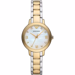 Montre Emporio Armani Cleo Pour Femmes en Multicolore - AR11513