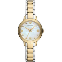Montre Emporio Armani Cleo Pour Femmes en Multicolore - AR11513