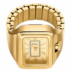 Montre Fossil Raquel Pour Femmes en Doré - ES5343