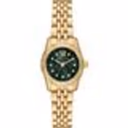 Montre Femme - Michael Kors - MK4842 - Acier Inoxydable Doré - Cadran Vert - Étanche 5 ATM