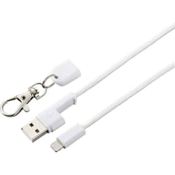 Renkforce Apple iPad/iPhone/iPod Câble de raccordement [1x USB 2.0 type A mâle - 1x Dock mâle Lightning] 0.95 m blanc