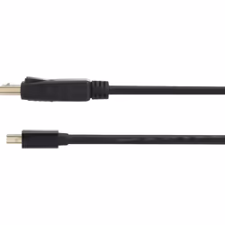 Renkforce RF-4538176 câble DisplayPort 2 m Mini DisplayPort Noir